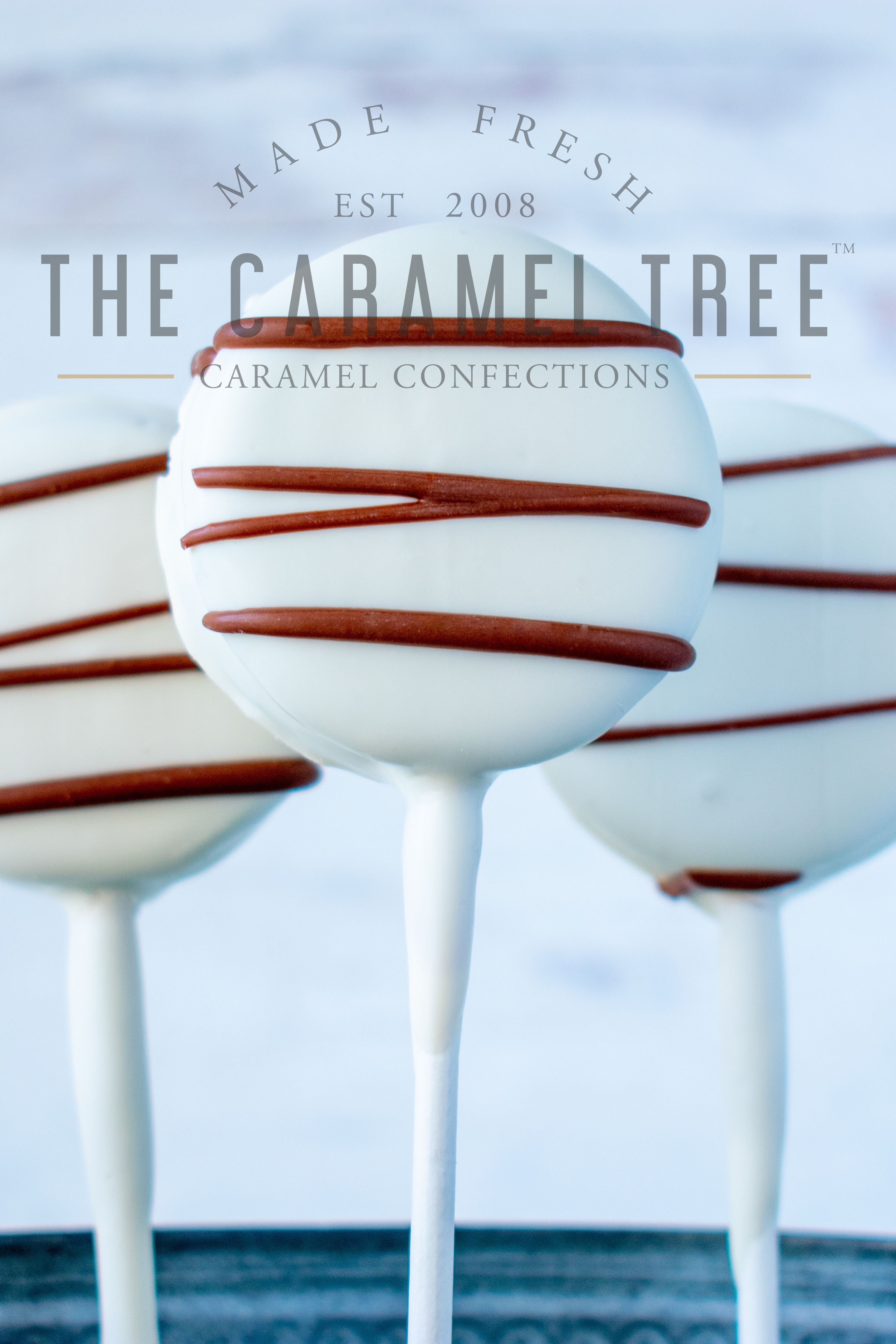 caramel and chocolate dipped oreos white with logo