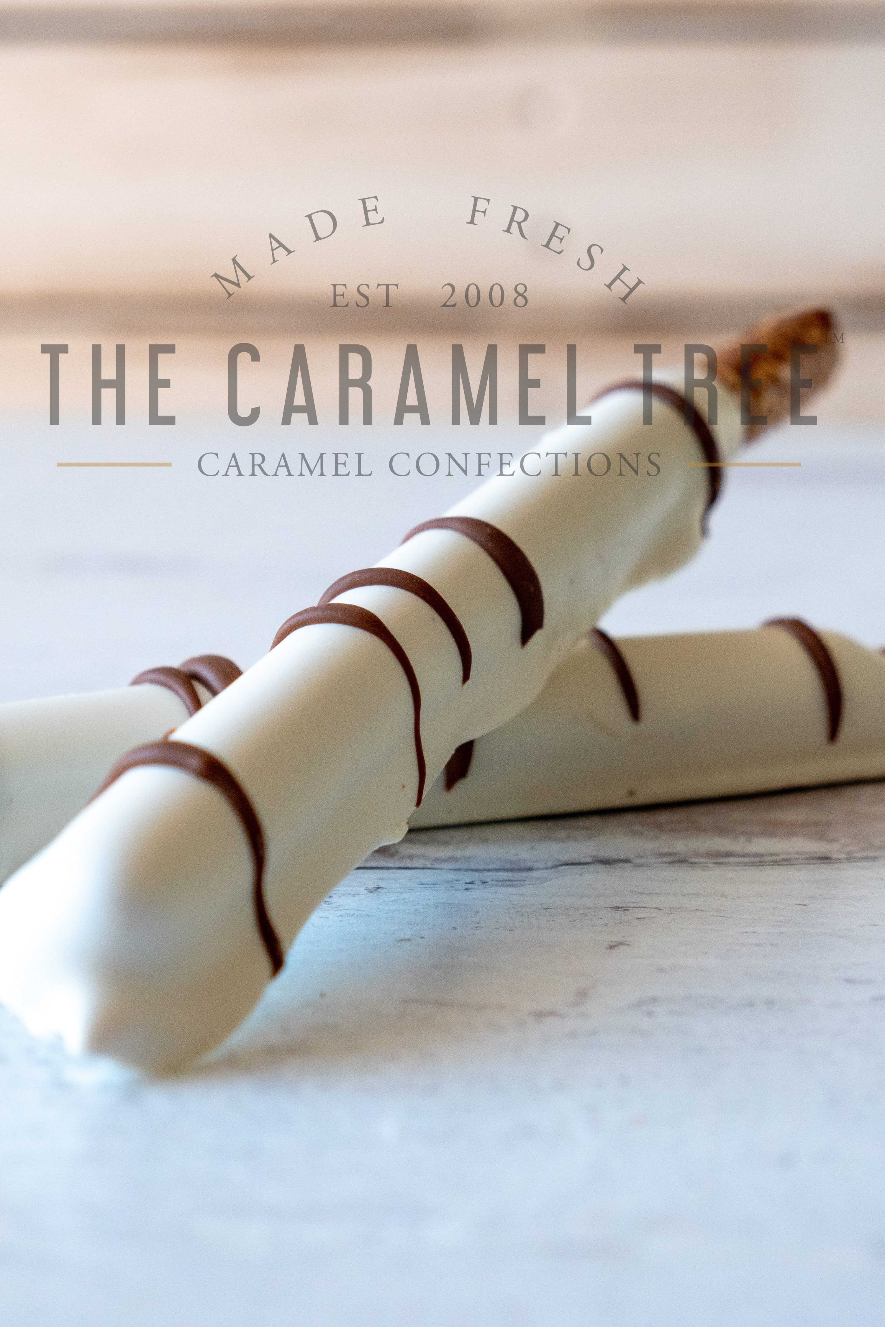 caramel and chocolate dipped pretzel rods white with logo