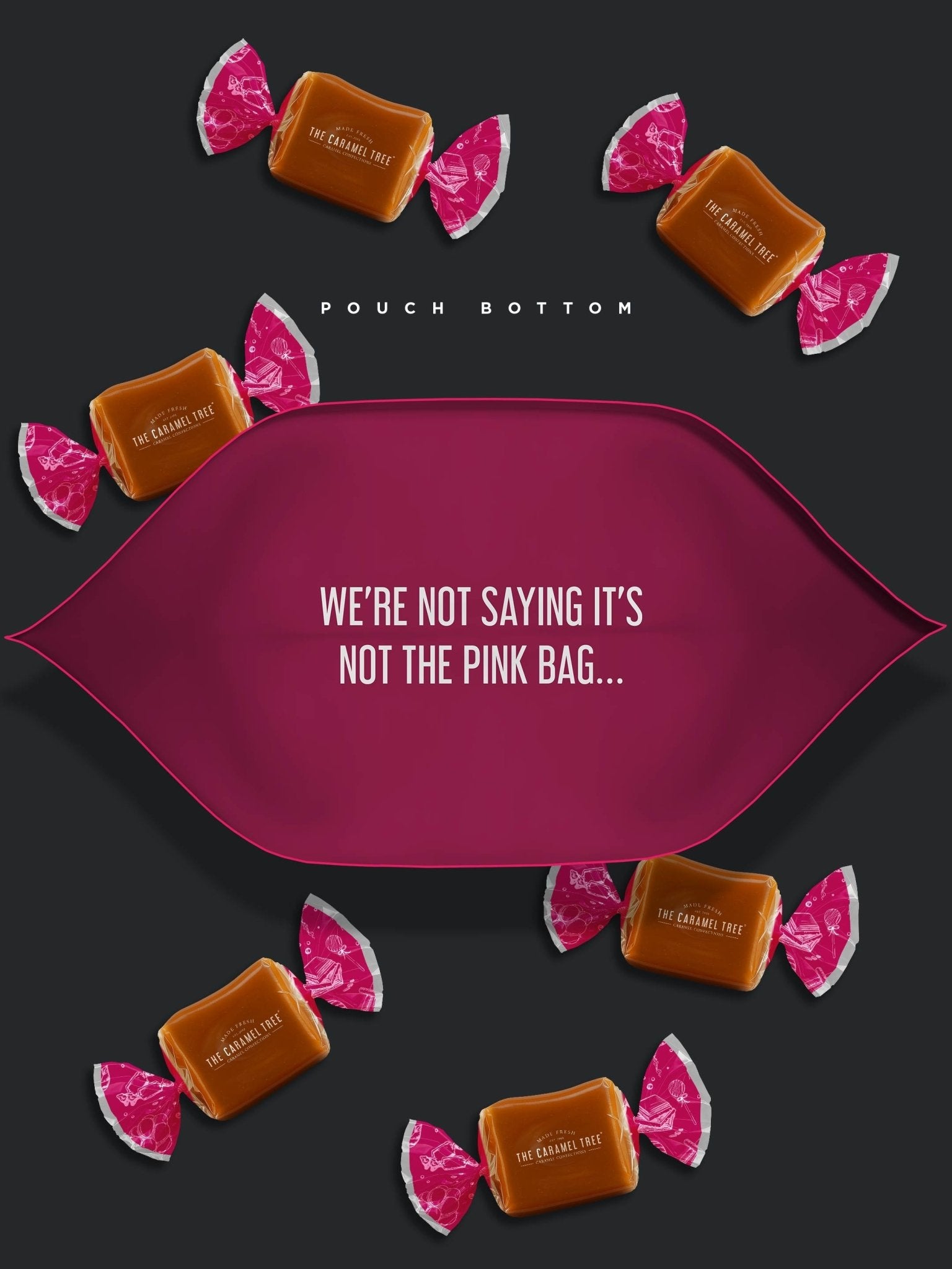 NEW - Raspberry & Cream Pouch 7.6oz - The Caramel Tree