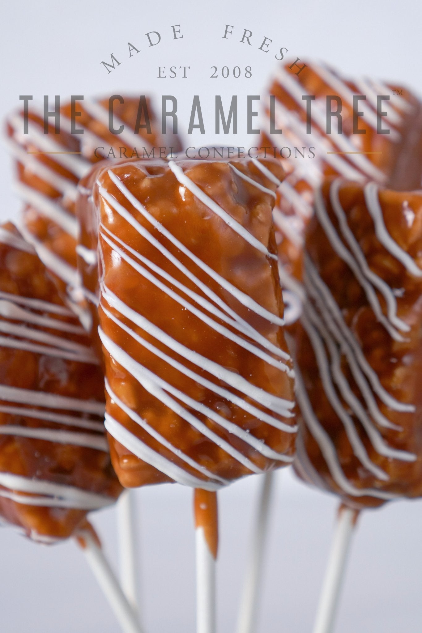 Salted Caramel Rice Krispies - 10 pack - The Caramel Tree