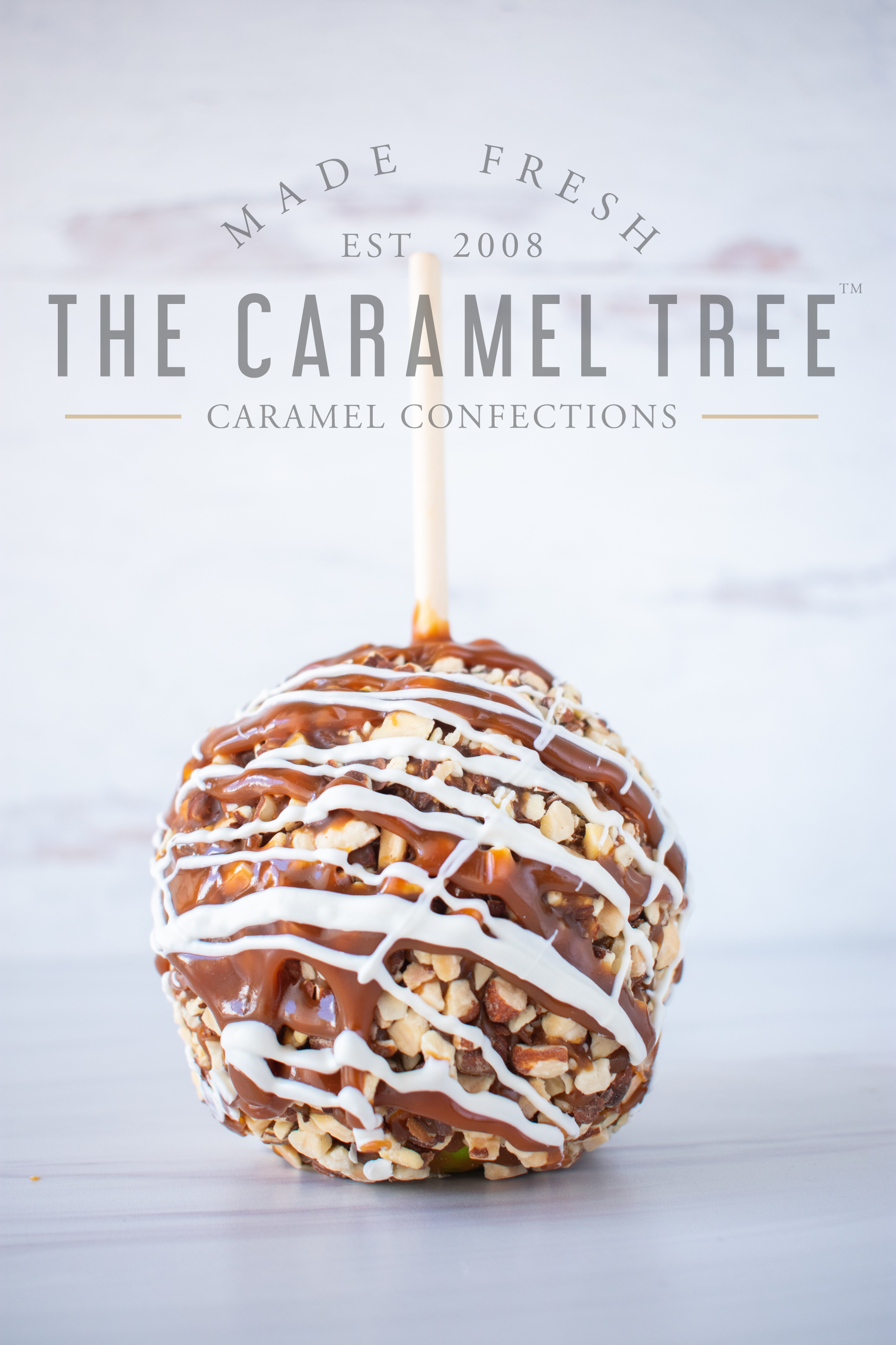 the caramel tree toasted almond caramel apple with logo