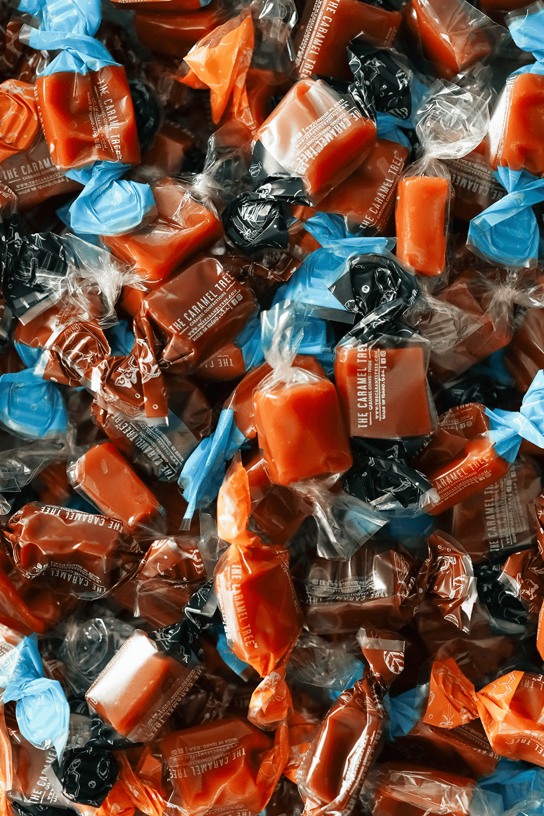 Bulk Individually Wrapped Caramels – 5 lbs - The Caramel Tree