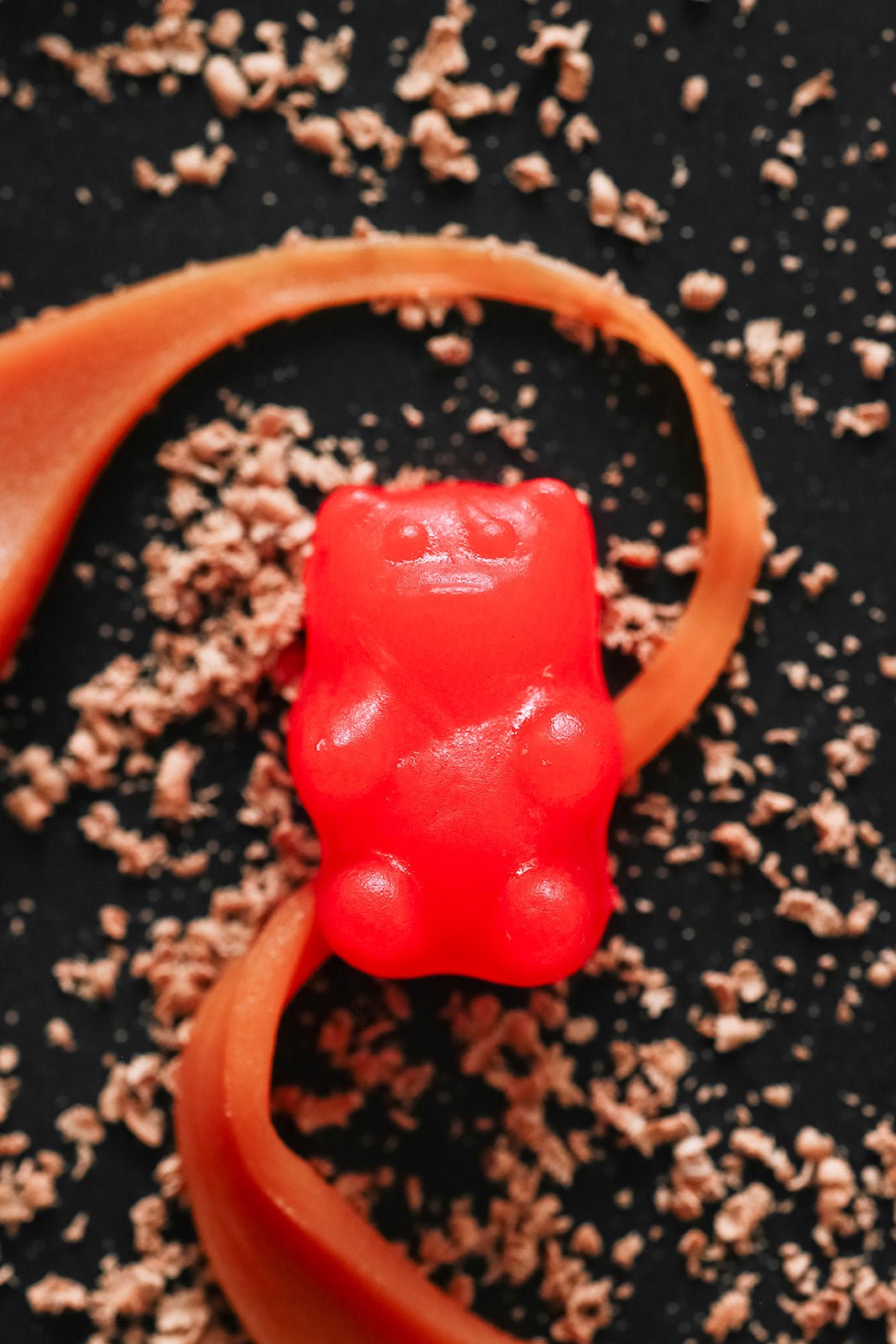 Caramel Dipped Cinnamon Bears - 4 Pack - The Caramel Tree