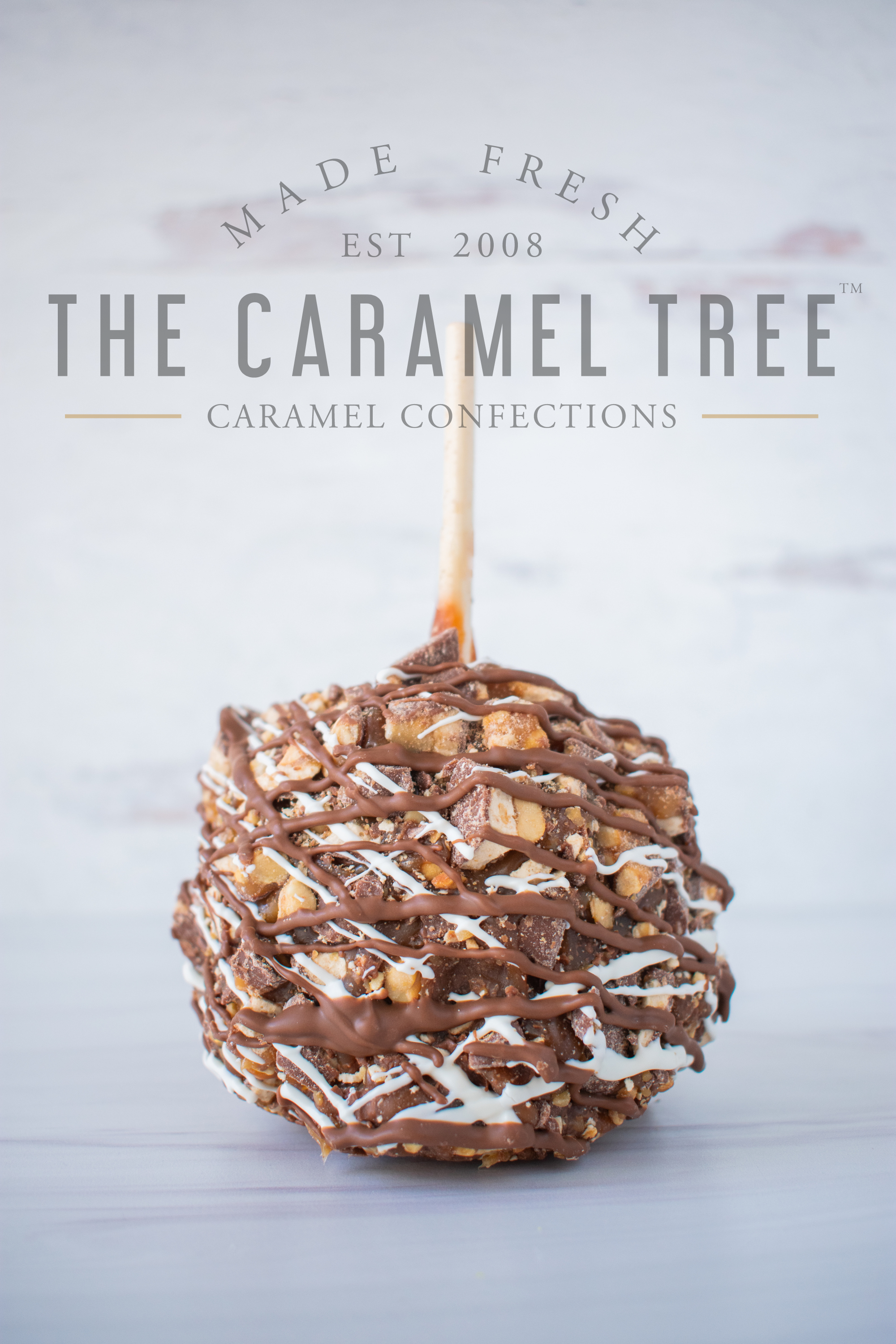 the caramel tree snickers caramel apple with logo